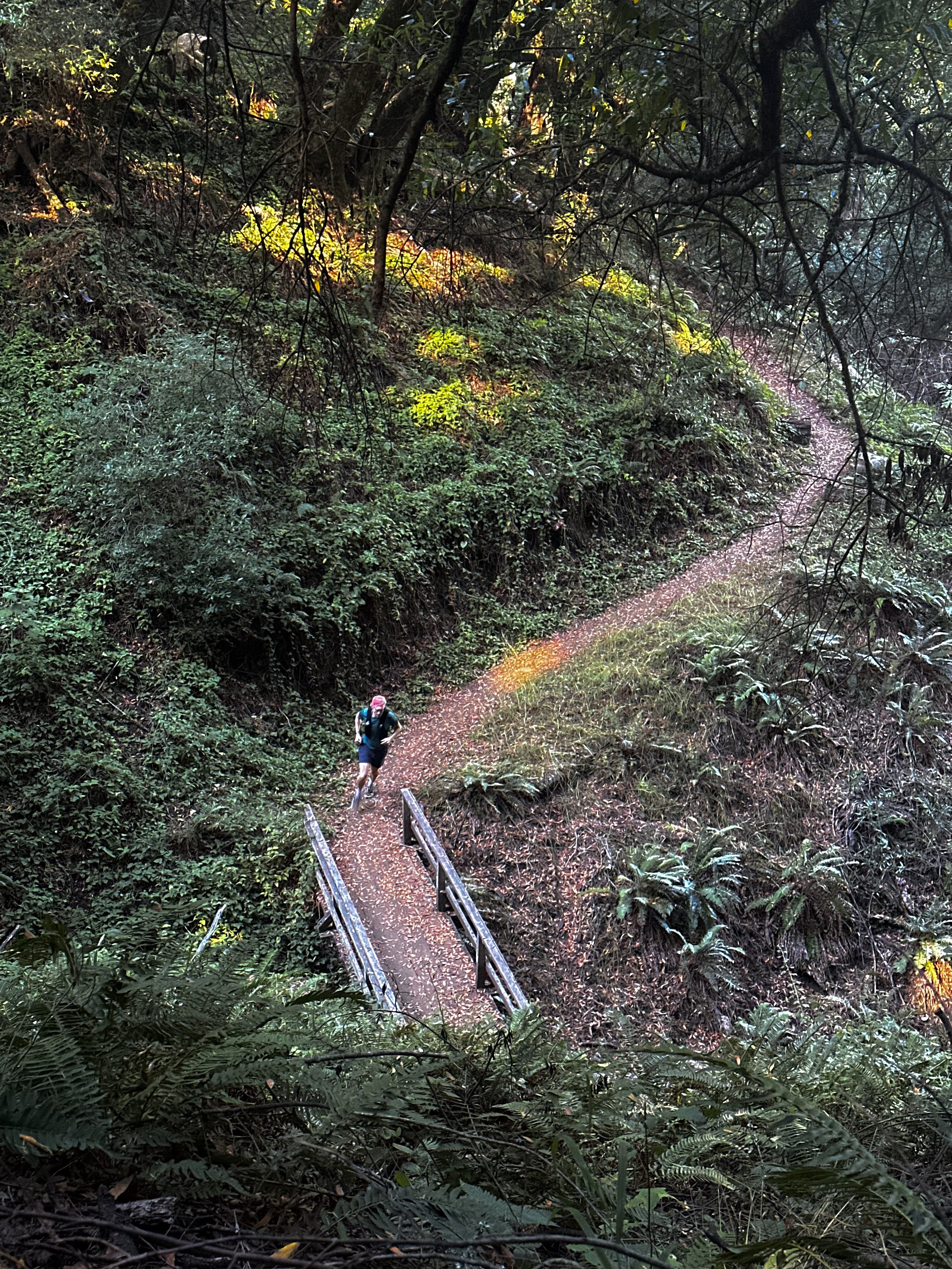 Trail action